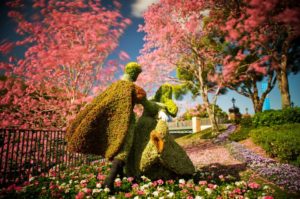 aurora at flower and garden