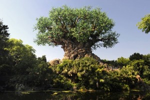 The tree of life wdw