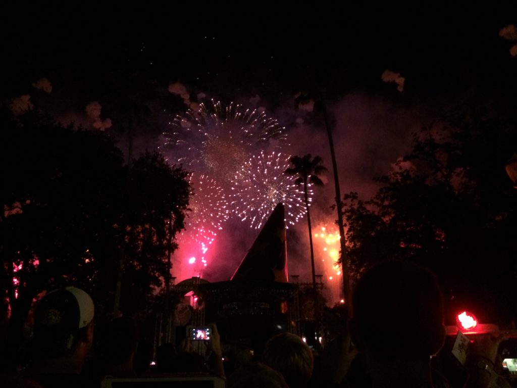 Disney's Hollywood Studios 25th Anniversary Fireworks