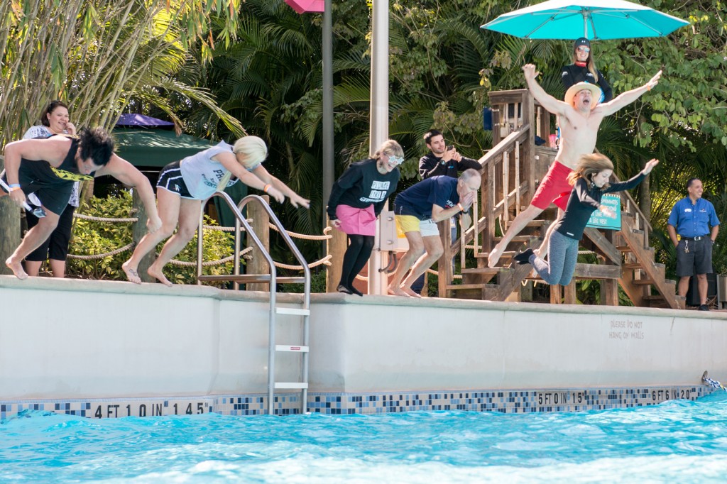 polar plunge