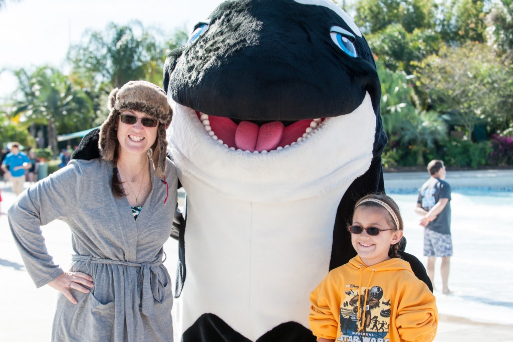 polar plunge