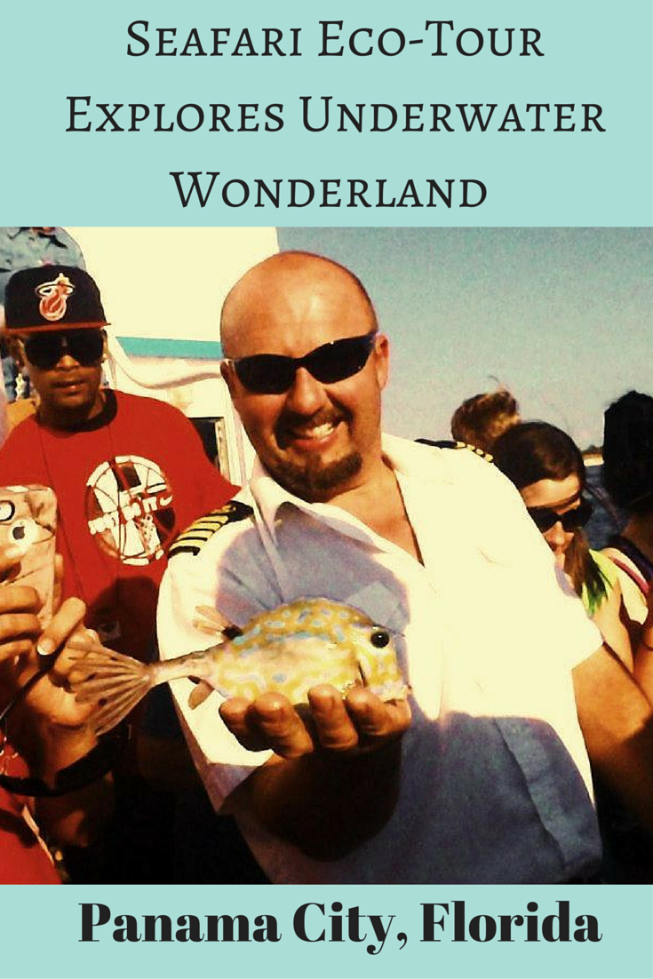 Seafari Eco-Tour Explores Underwater Wonderland in Panama City, Florida