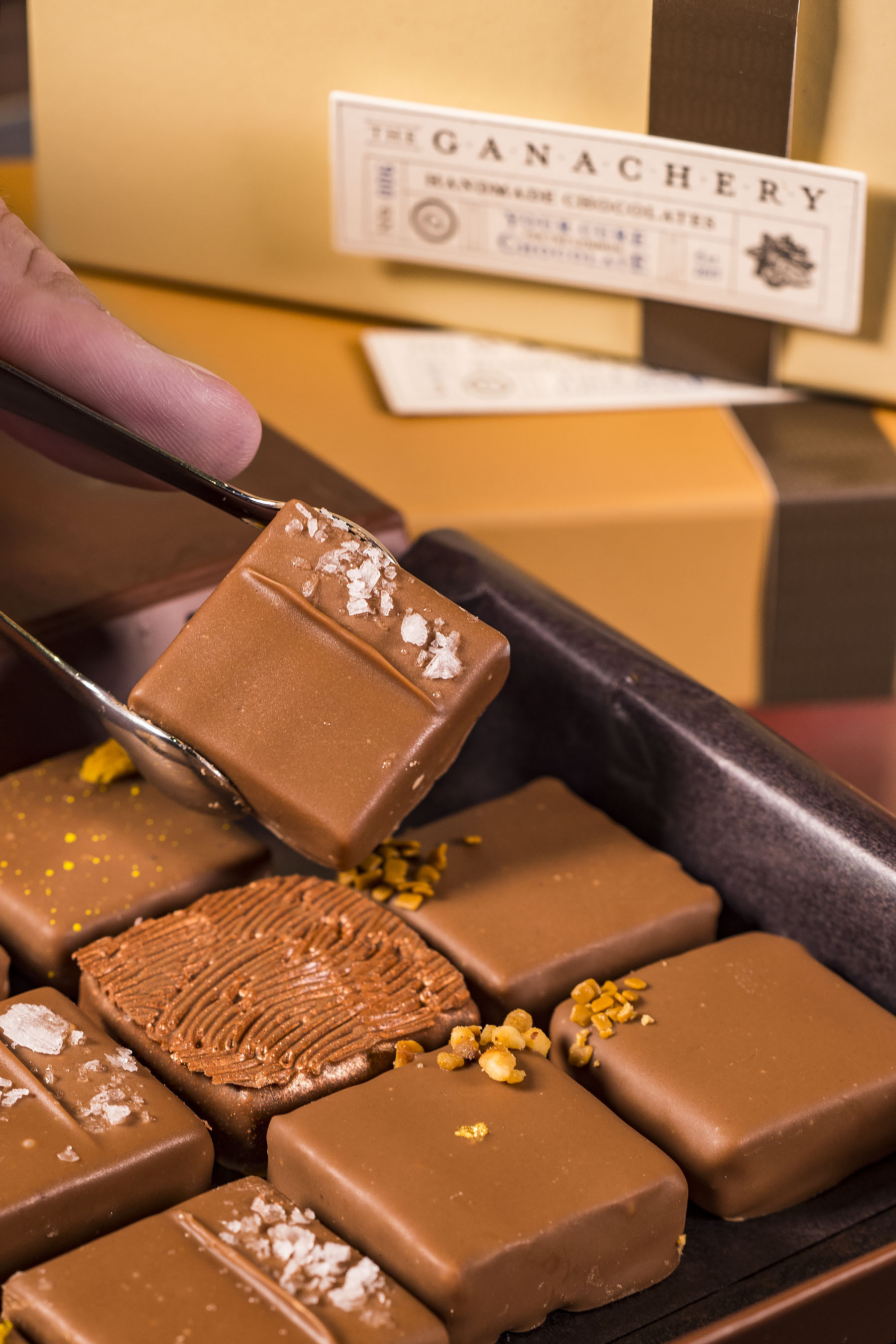 What New Shopping, Dining and Entertainment are Bubbling in Disney Springs?