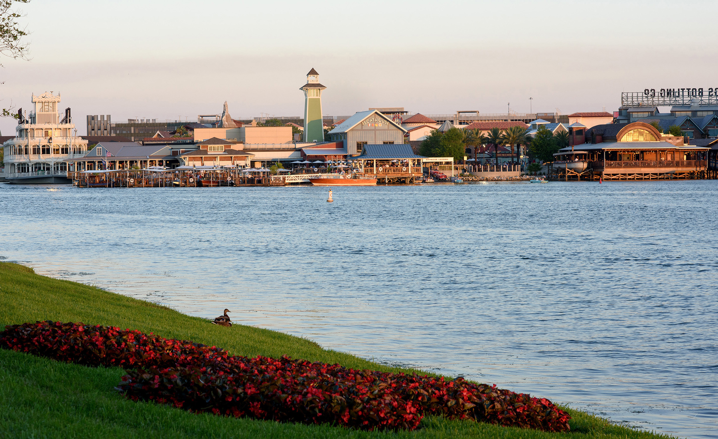 What New Shopping, Dining and Entertainment are Bubbling in Disney Springs?