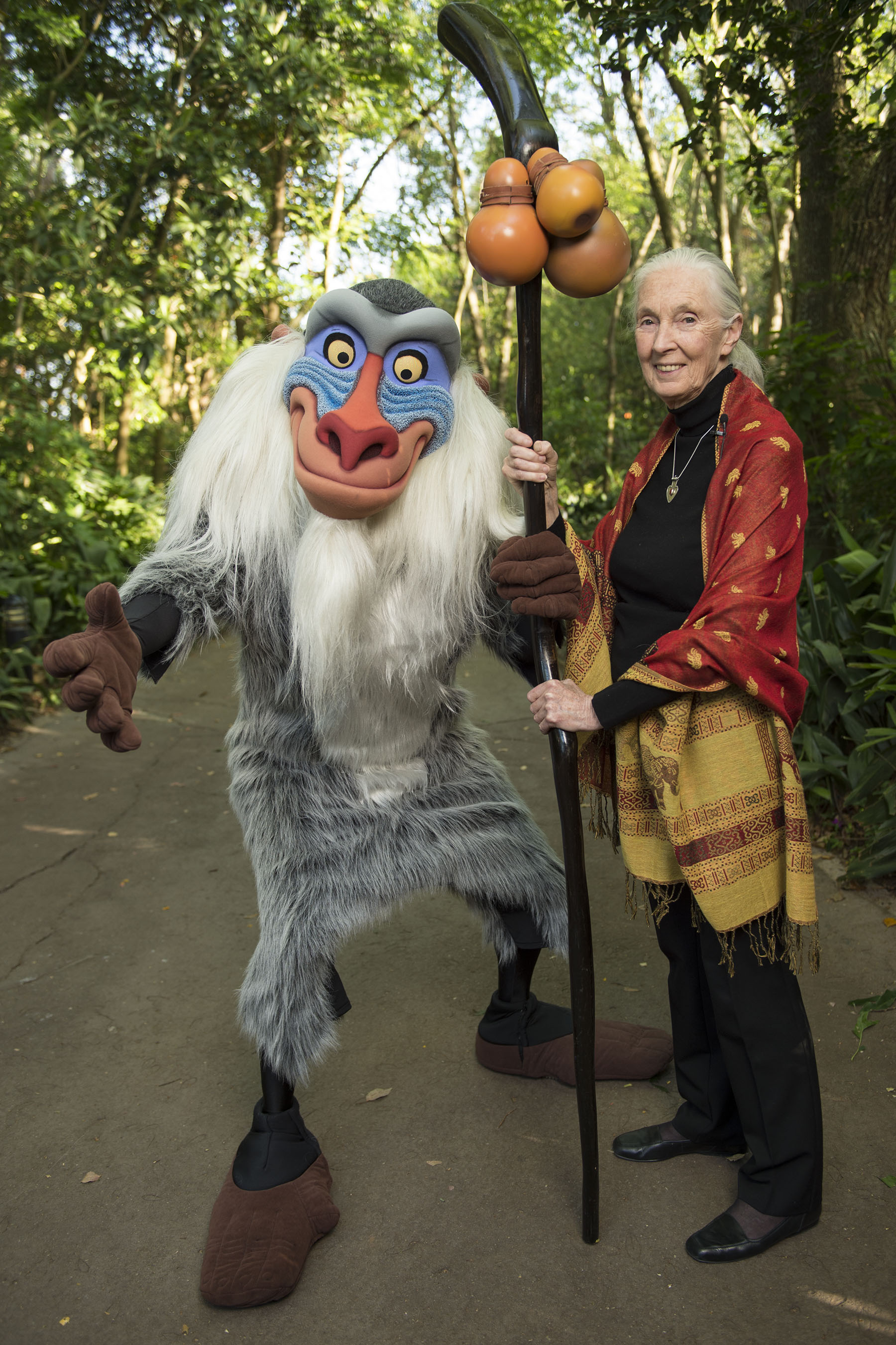 Dr. Jane Goodall poses with Rafiki April 19, 2016 at Disney's Animal Kingdom. Dr. Goodall was visiting Disney's Animal Kingdom to celebrate the 20th anniversary of the Disney Conservation Fund and support the launch of its new initiative called "Reverse the Decline, Increase the Time" which aims to reverse the decline of threatened species through scientific research and increasing the time kids spend in nature. (David Roark, photographer)