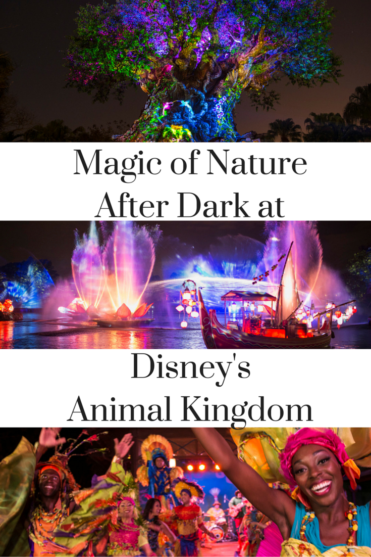 Disney’s Animal Kingdom Introduces the Magic of Nature After Dark