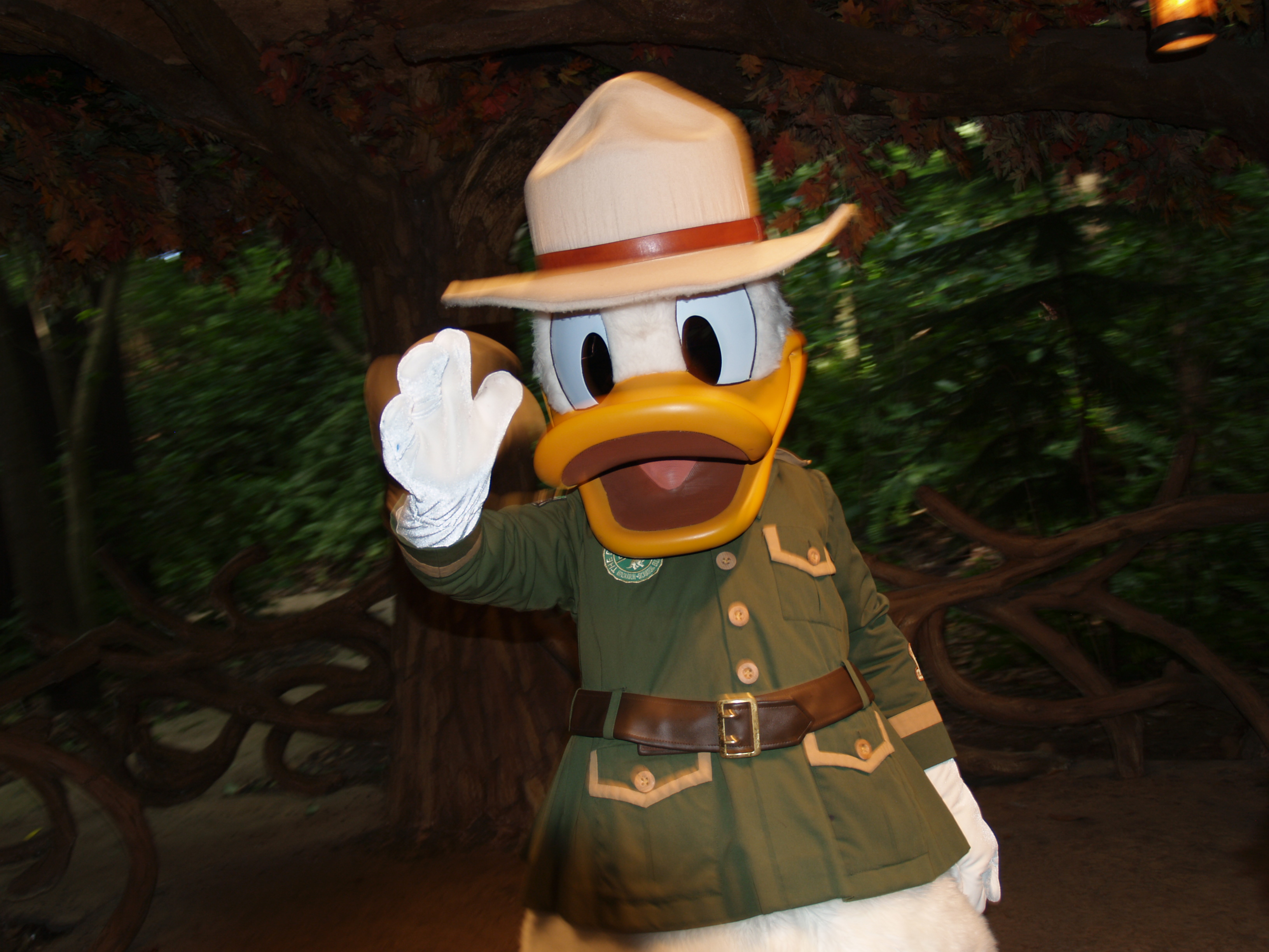 Donald Duck