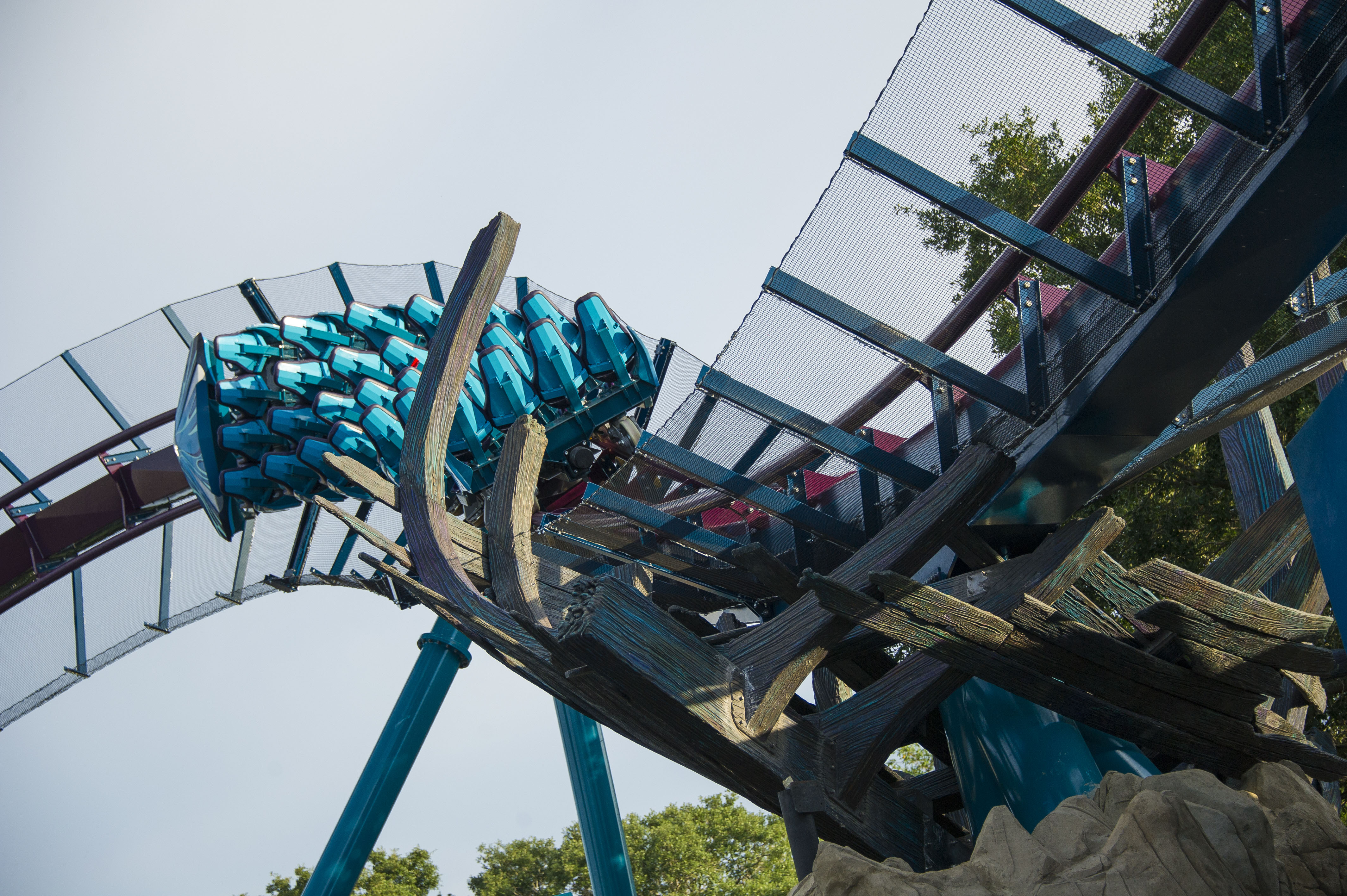 Mako Surfacing June 10th at SeaWorld Orlando