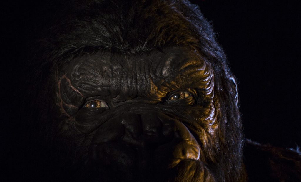 Kong  Skull Island