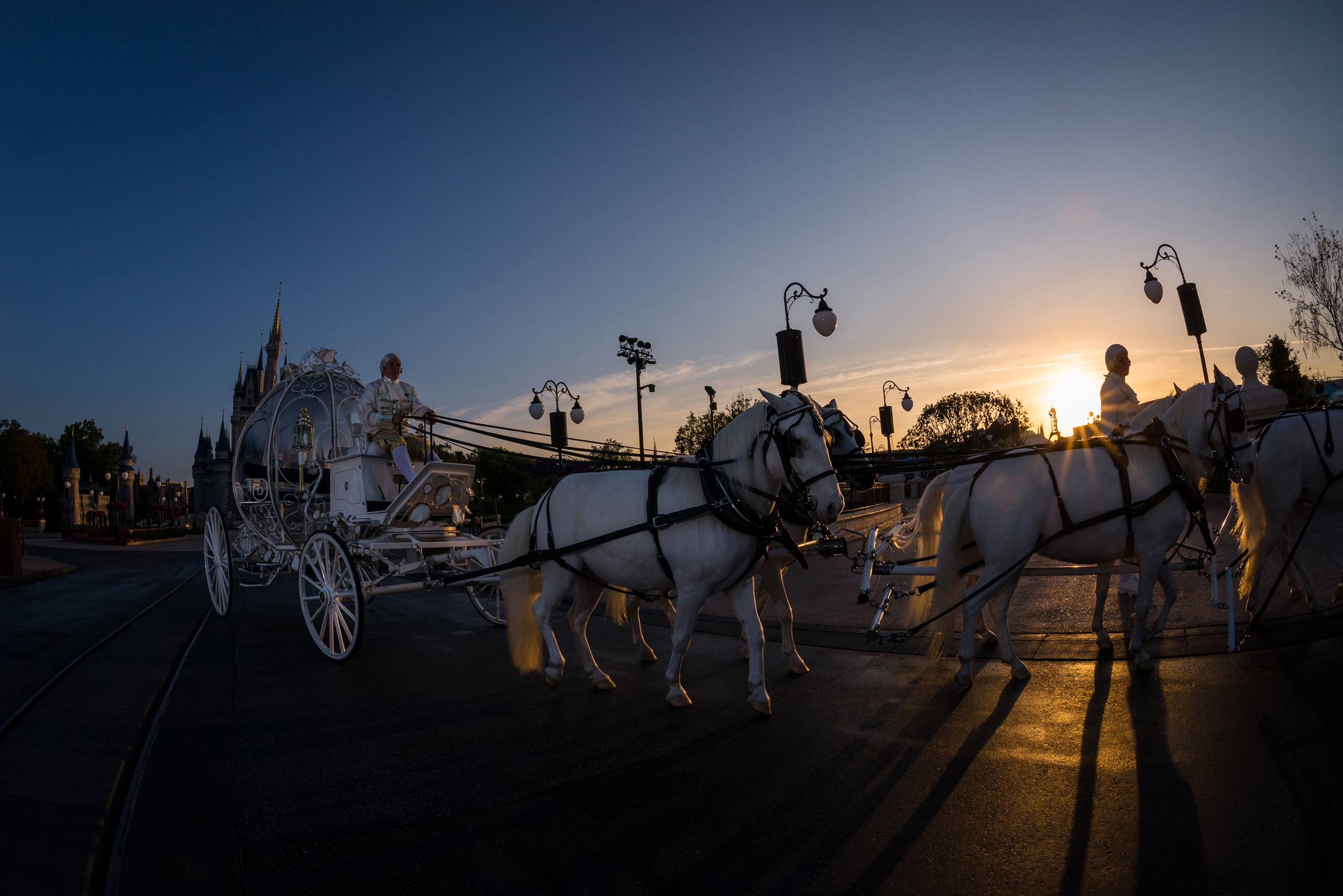 Disney’s Fairy Tale Weddings