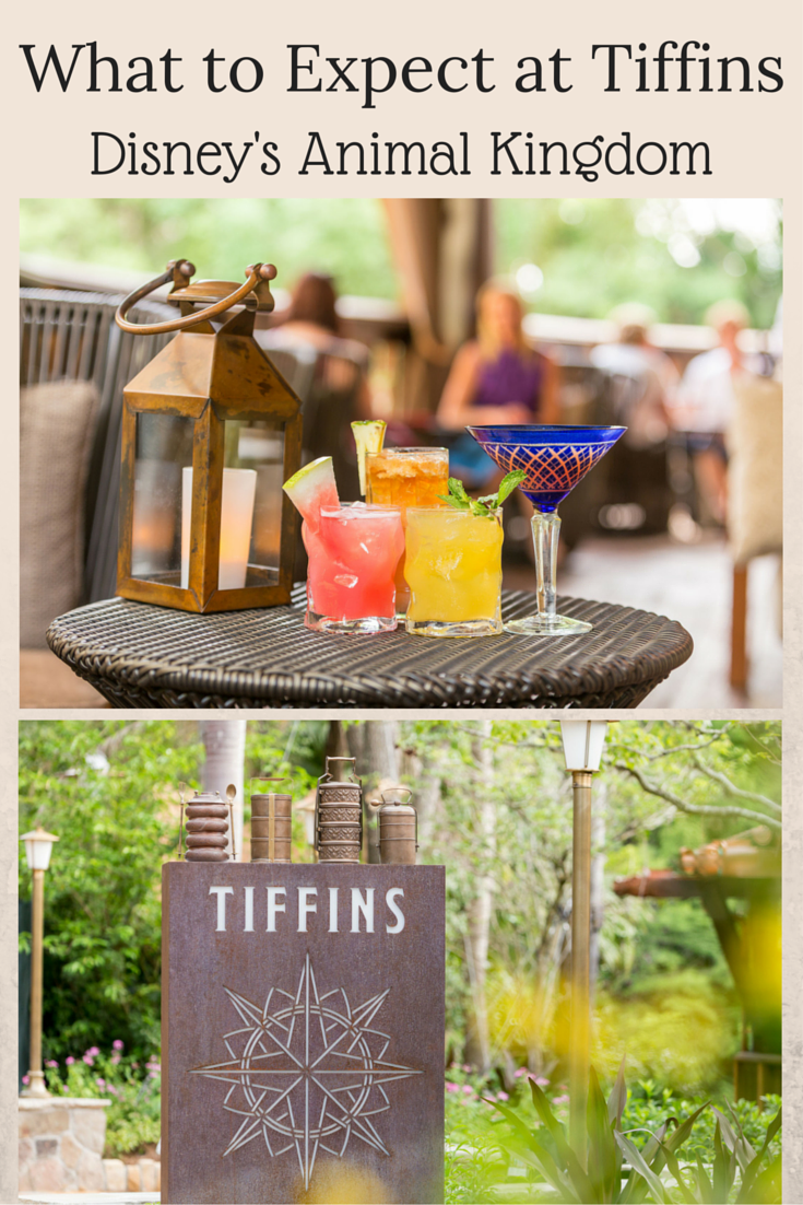 What to Expect at Tiffins, Disney's Animal Kingdom