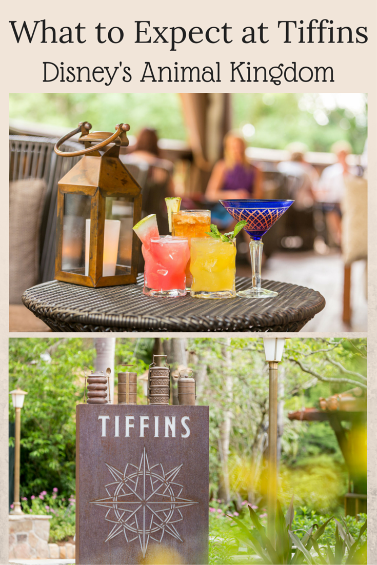 Tiffins, Nomad Lounge Newest Dining Experiences At Disney’s Animal Kingdom at Walt Disney World Resort