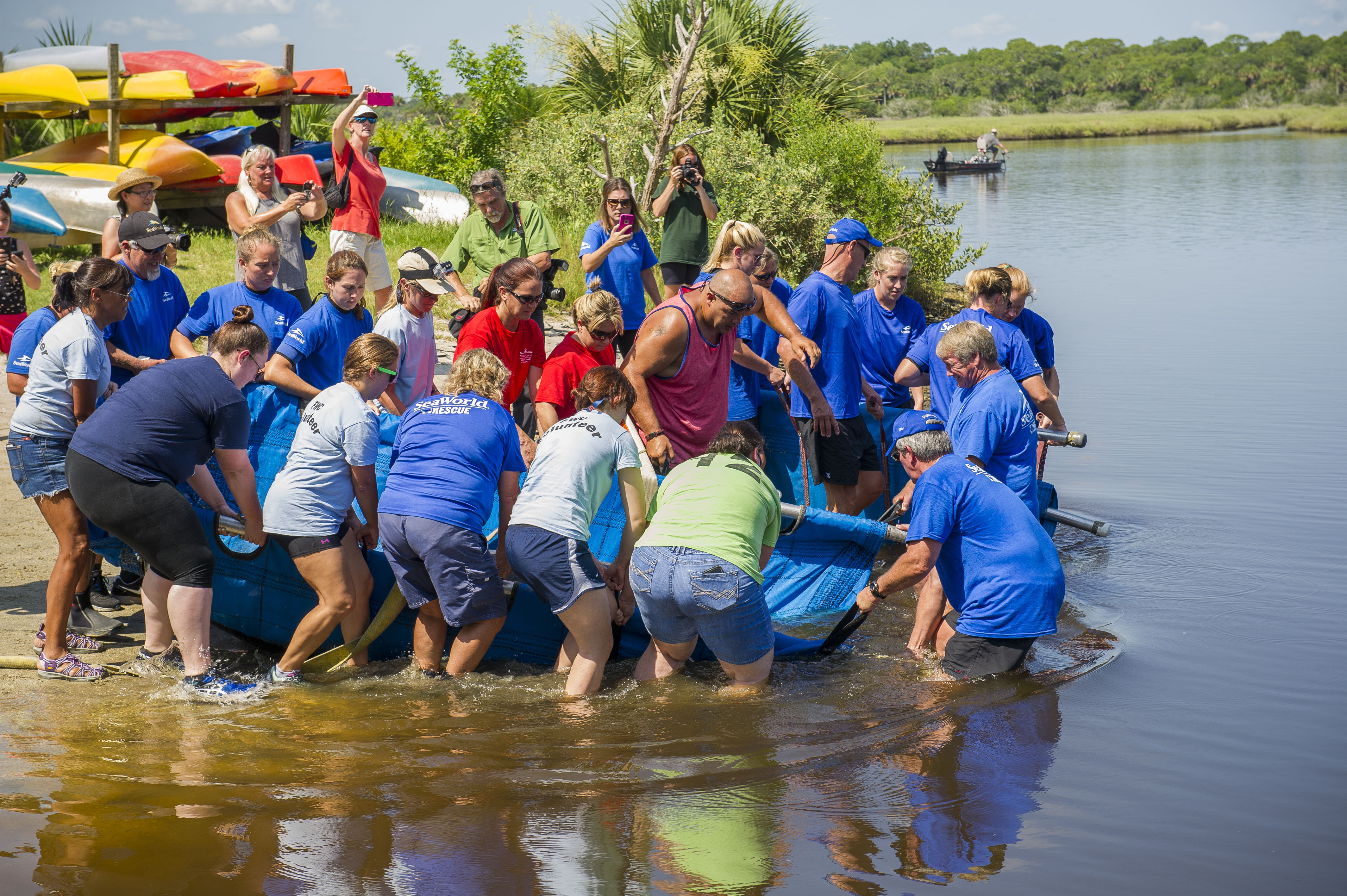 Rehabilitated Mother & Calf Manatees Returned to Florida Waters