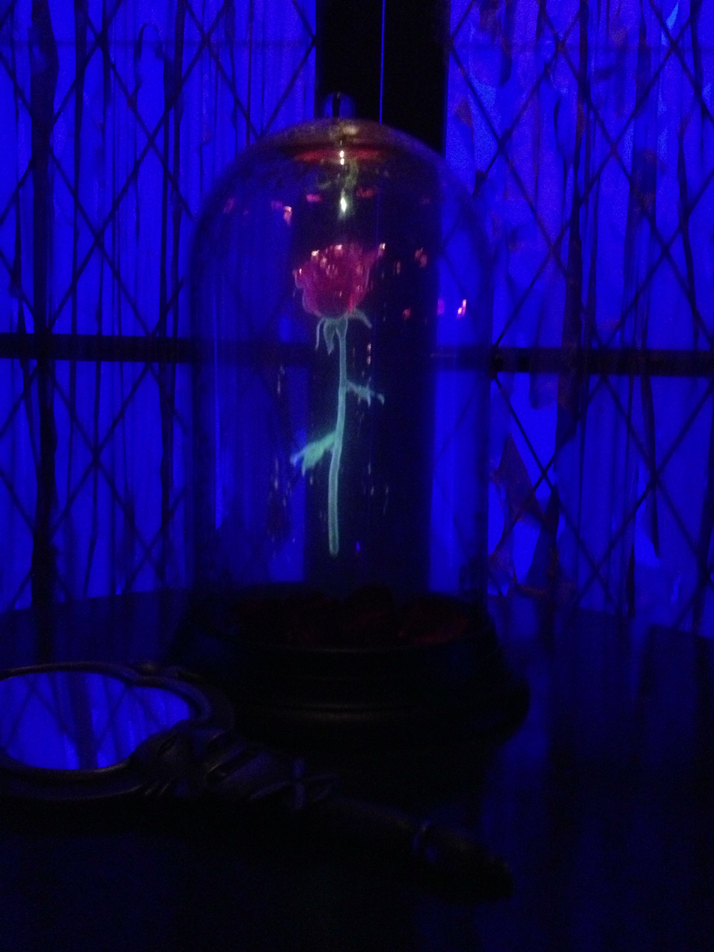 Be Our Guest