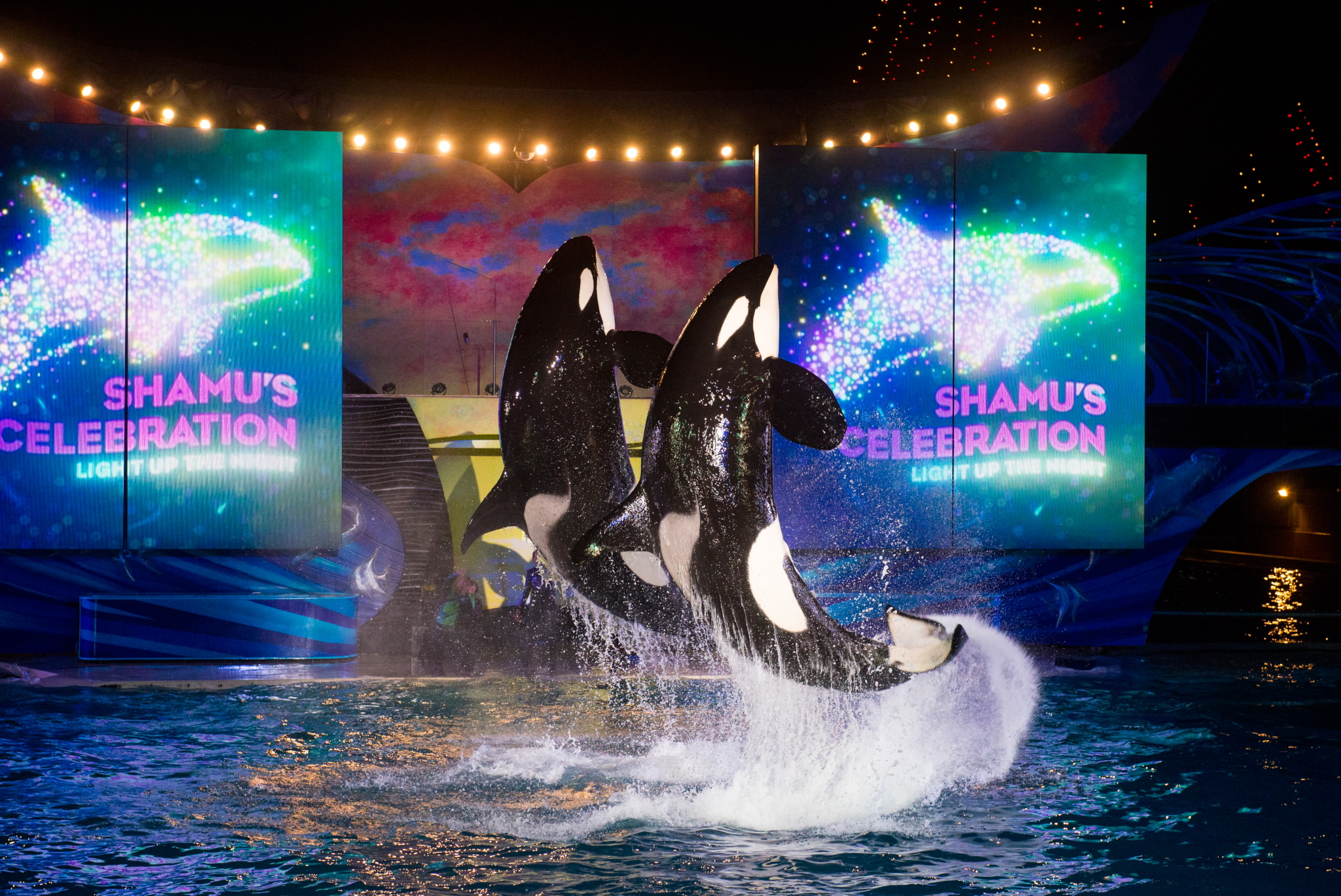SeaWorld Orlando All-New 'Summer of Mako' Event