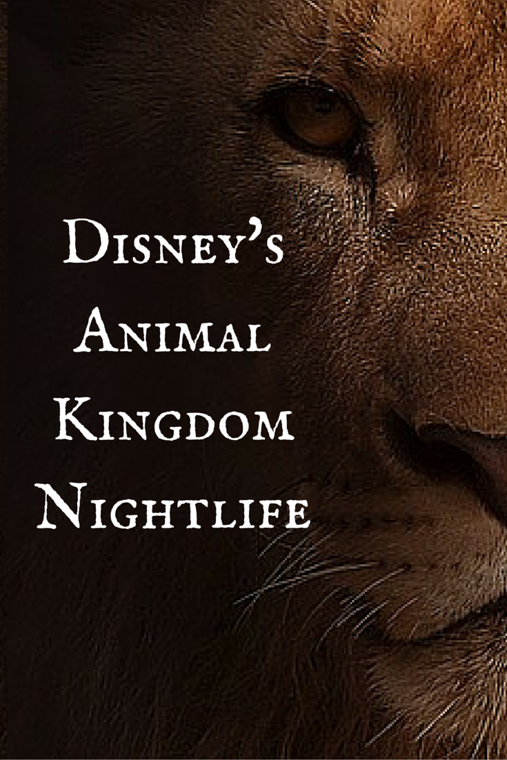 Disney's Animal Kingdom Nightlife