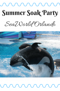 Get Soaked at the New Summer Soak Party at SeaWorld Orlando!