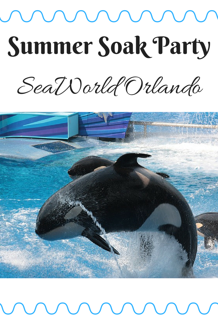 Get Soaked at the New Summer Soak Party at SeaWorld Orlando!