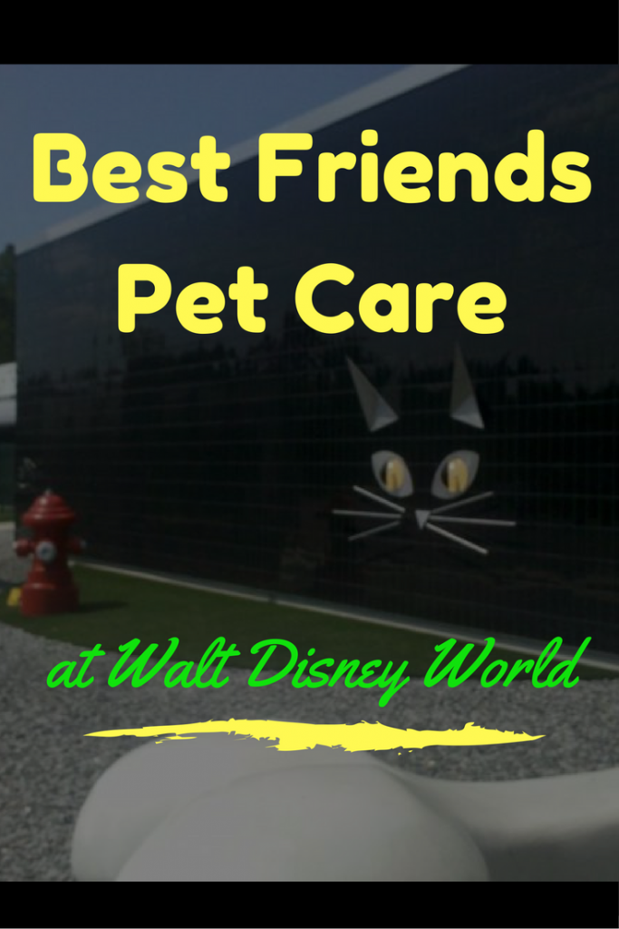 Best Friends Pet Care