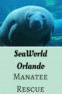 Find out more about how SeaWorld Orlando rescues manatees