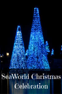 SeaWorld Christmas Celebration Brightens the Holidays