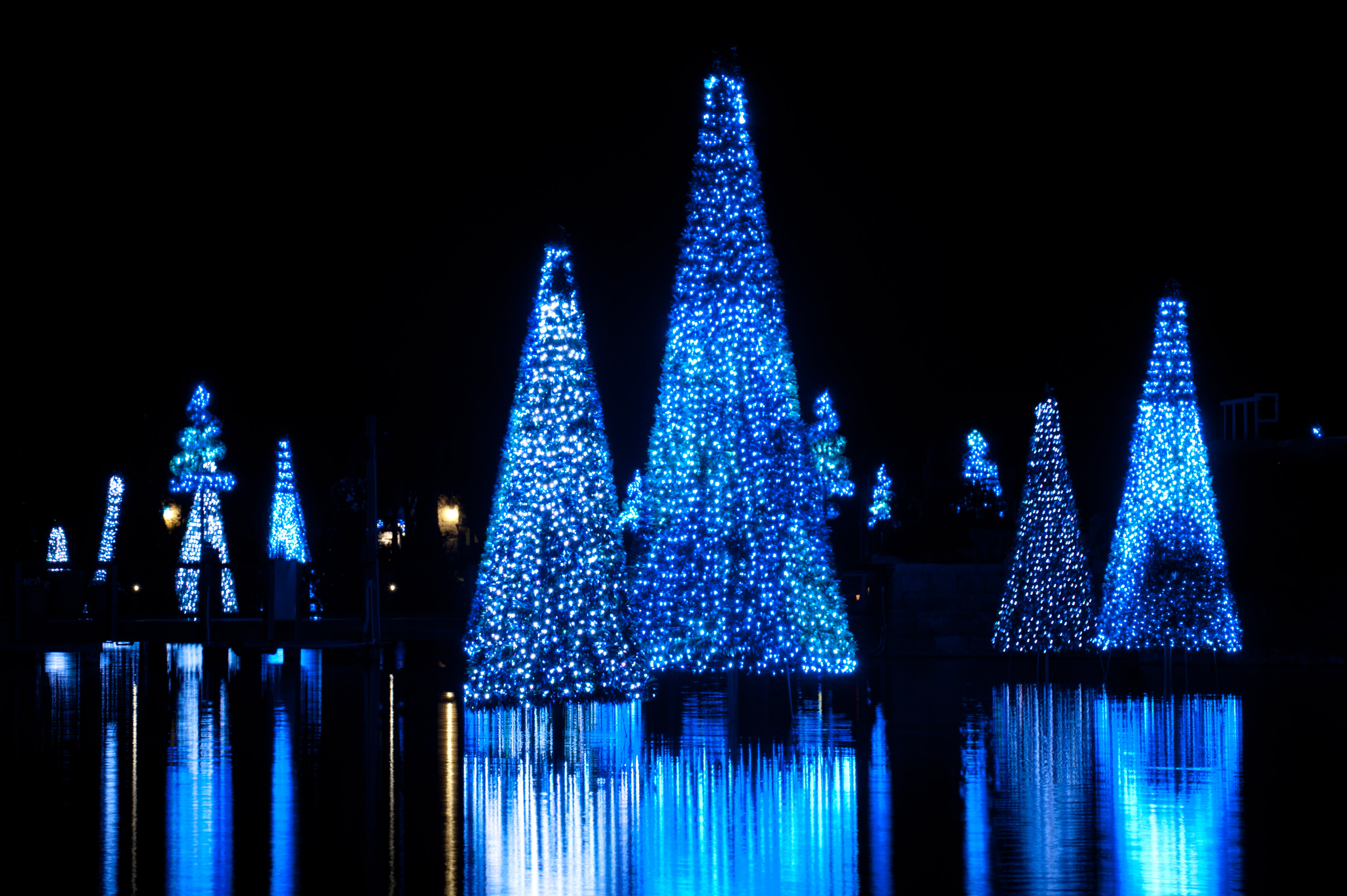 SeaWorld Christmas Celebration Brightens the Holidays