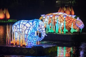 Majestic New Nighttime Show AT Disney's Animal Kingdom– Rivers of Light