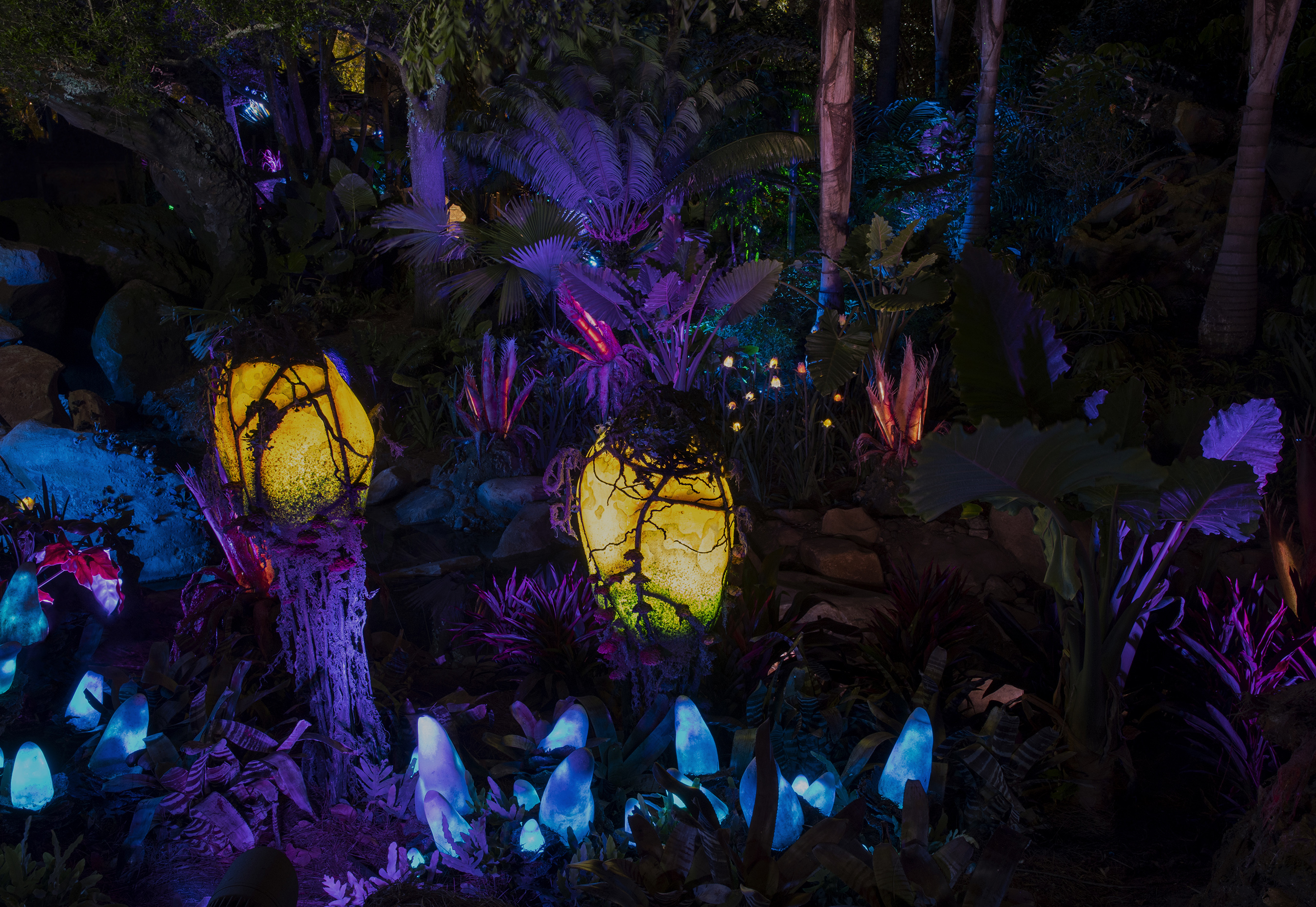 Avatar Flight of Passage will soon open at Pandora-The World of Avatar. Find out more about this unique new ride coming to Disney's Animal Kingdom park. 