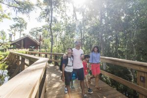 Disney Vacation Club Opens Copper Creek Villas & Cabins